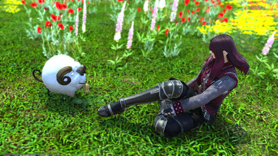 Lunch? Or a new friend?