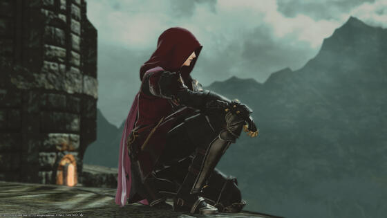 Sjahs on her perch.